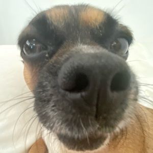 Meet your Posher, Tashanna